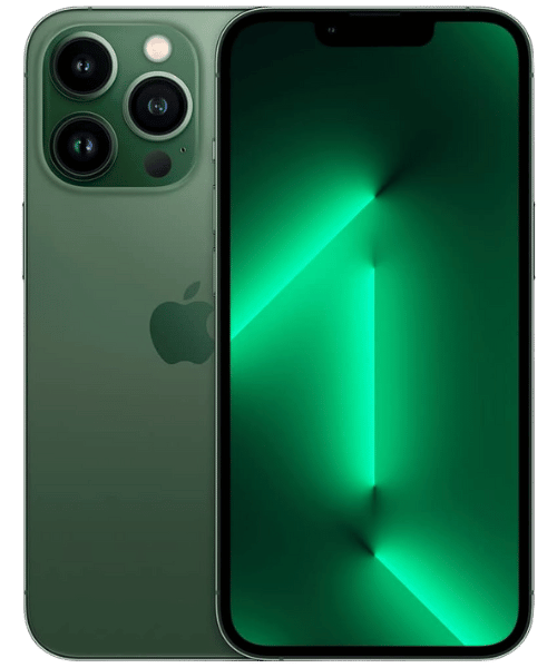 Case iPhone 13 Pro Max